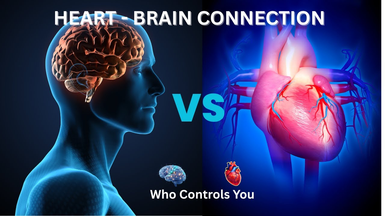 Heart–Brain Connection Explained | Quran Aur Science Ka Sach