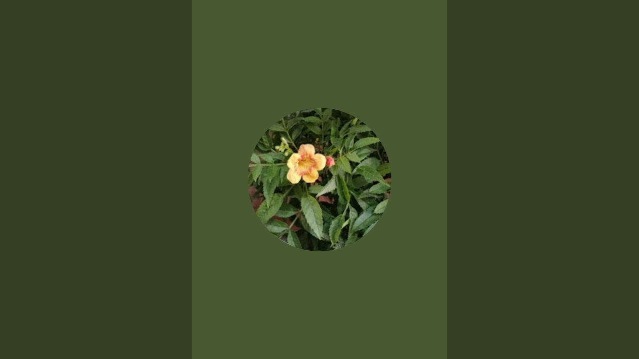 sk  gardening group2 is live! दम  तो उत्तर दीजिए...