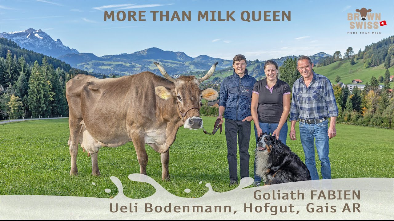 MORE THAN MILK QUEEN - Goliath FABIEN