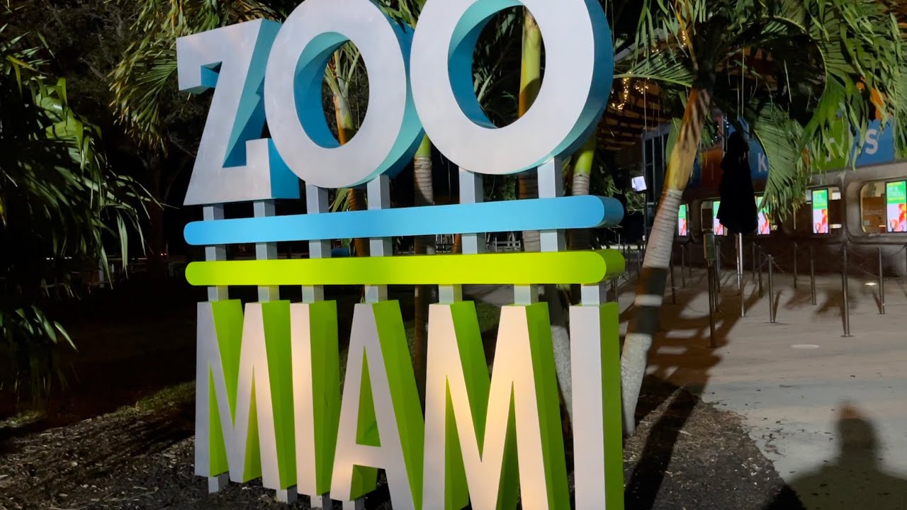 Zoo Lights at Zoo Miami | November 2021