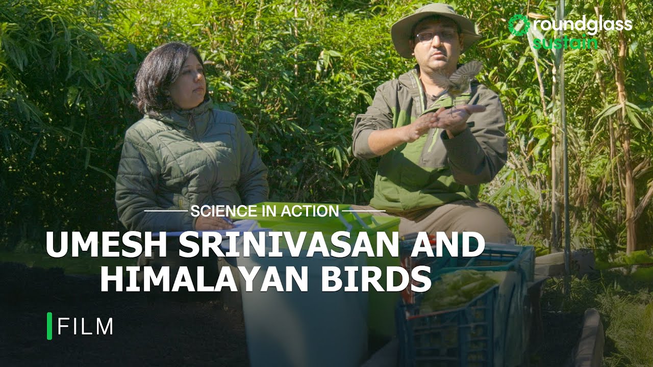 Science In Action Ep 4: Climate Change Ft. Umesh Srinivasan | Himalayan Birds | @RoundglassSustain