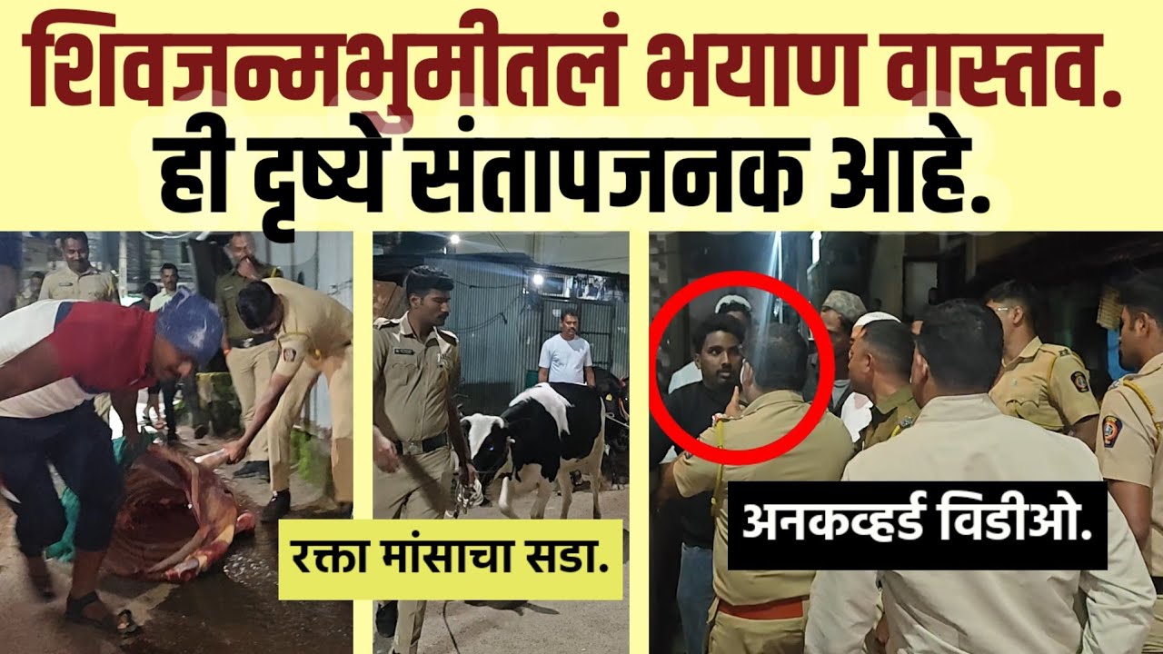 अनकव्हर्ड विडीओ. २ हजार किलो बीफ. जे पहाल ते धक्कादायक आहे. 
