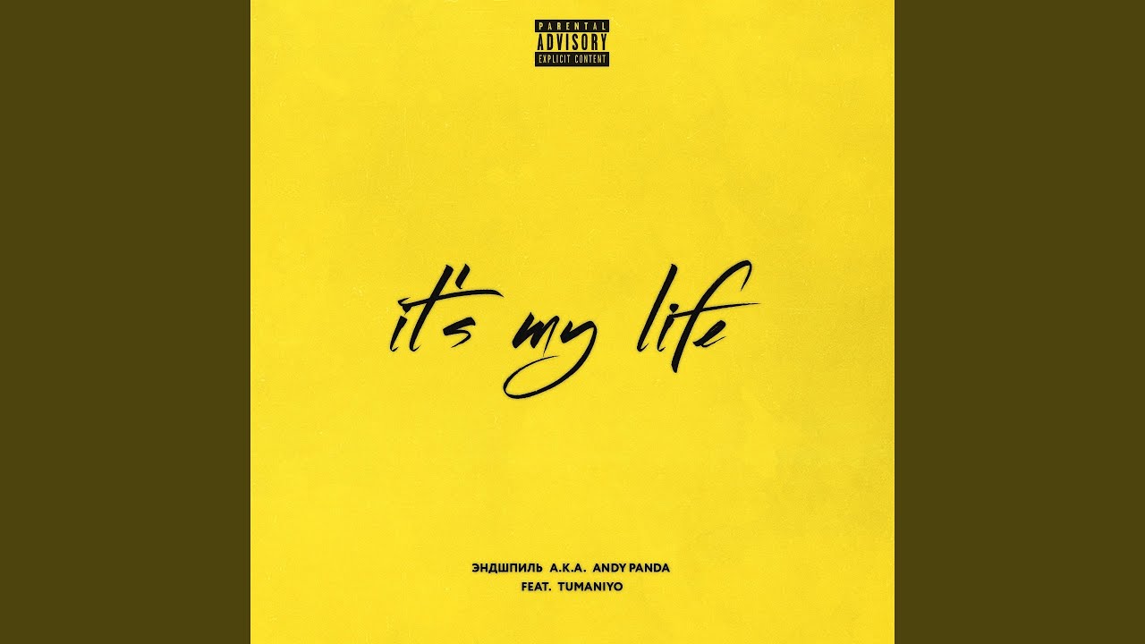 It's My Life (feat. TumaniYO)