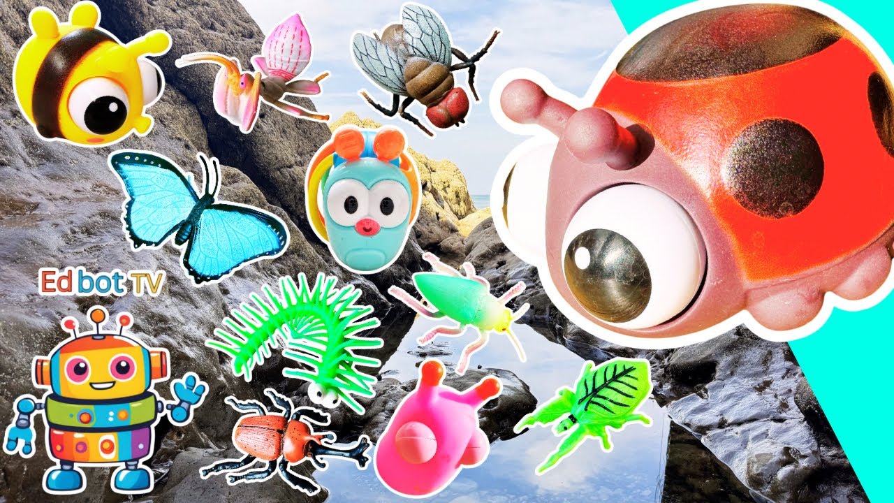 Веселые игрушки | Учим названия жуков и насекомых для детей у бассейна: божья коровка, кузнечик, ...