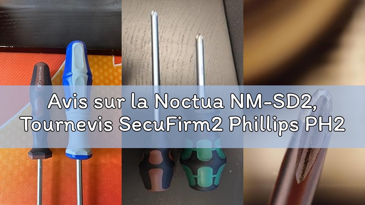 Avis sur la Noctua NM-SD2, Tournevis SecuFirm2 Phillips PH2