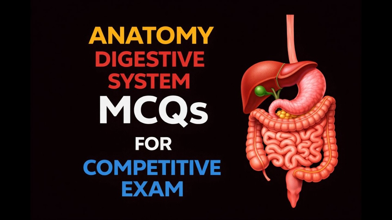Anatomy - Digestive System MCQs for Competitive Exam |