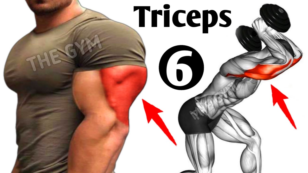 6 najlepszych ćwiczeń na duże triceps - THE GYM