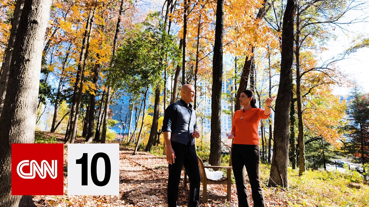 The science behind fall's brilliant colors | November 19, 2025