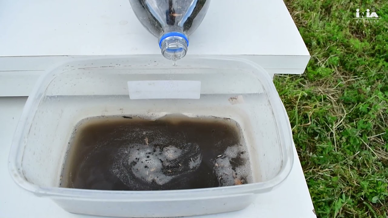 INIA Educa. Efectos de la erosión del agua en suelos.