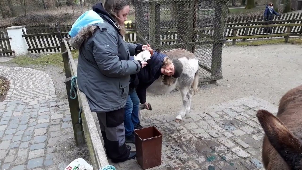 Hufpflege Esel Bürgerpark