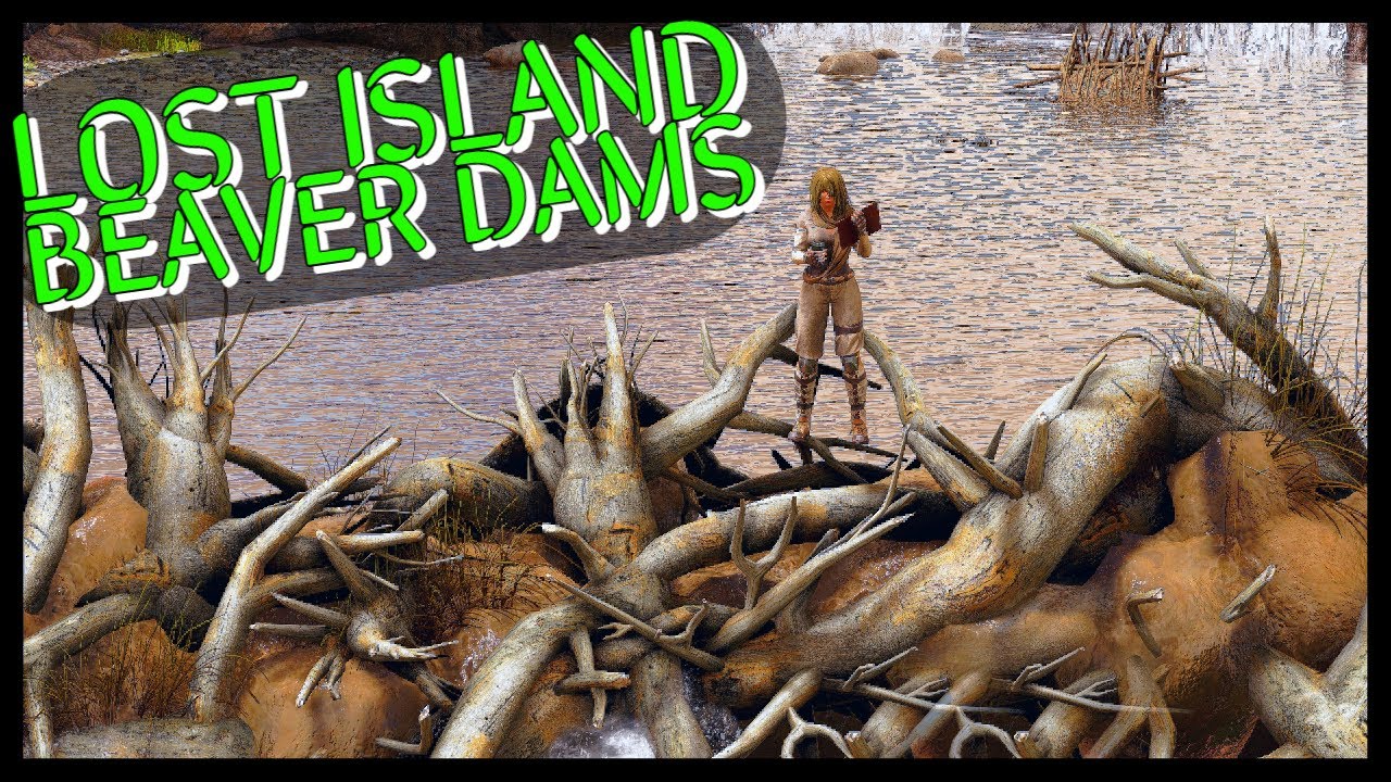 LOST ISLAND BEAVER DAM LOCATIONS! ALL 3 MAJOR SPAWNS