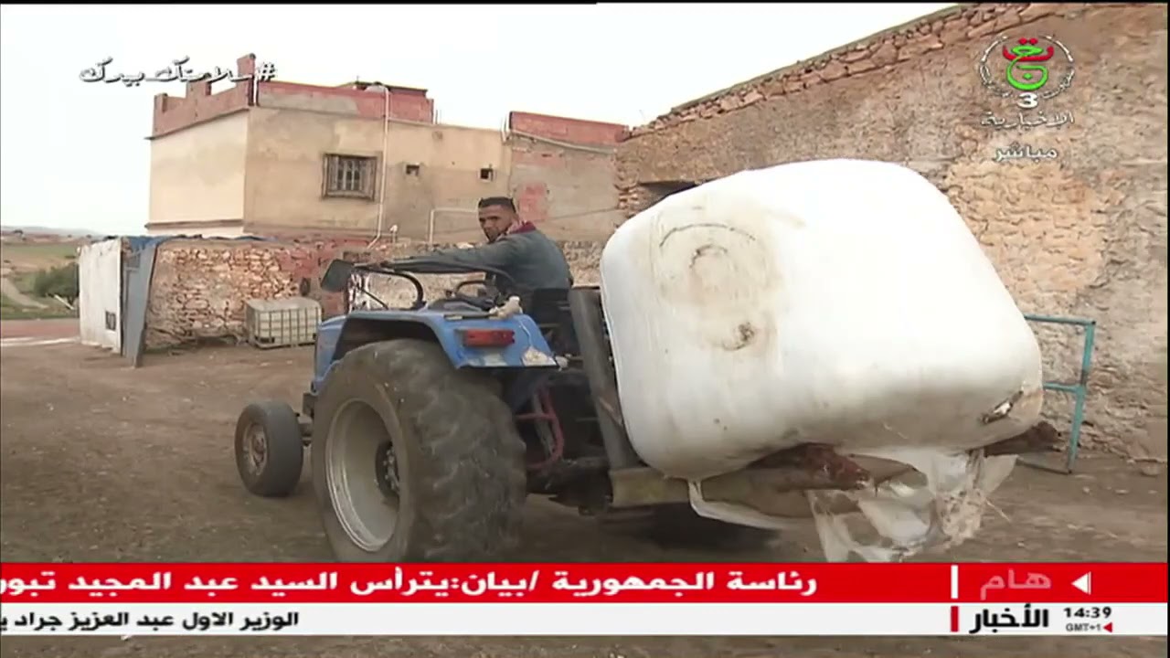 غليزان.. الشابان (السعيد بن يحي) (فتحي بن زينب) نموذجان ناجحان في الإستثمار في مشاريع تربية الأبقار.