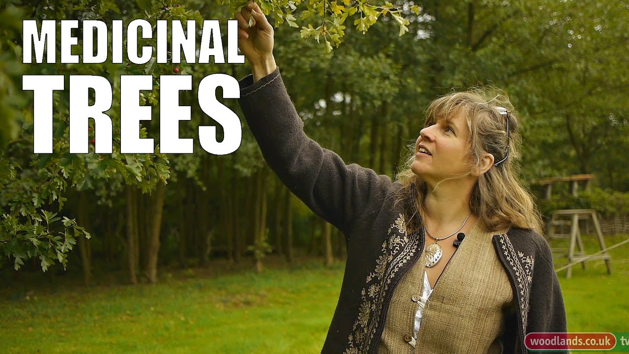 Medicinal Trees