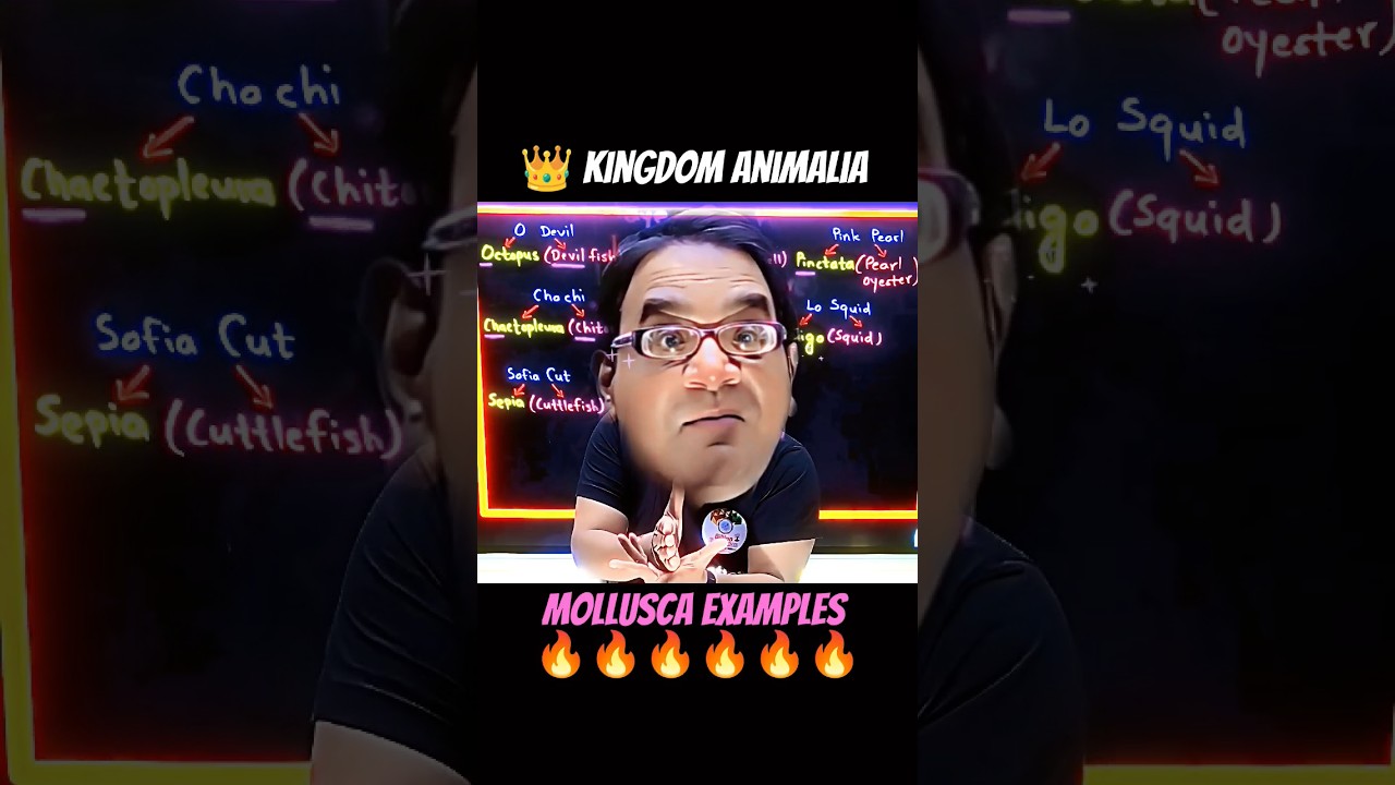 💯 Mnemonics for Phylum Mollusca 🔥 Trick to Remember Kingdom Animalia Examples Biology NCERT 👑 NEET