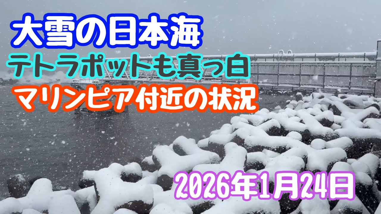 2026年1月24日 大雪の日本海 マリンピア付近の状況 寒波襲来 新潟市中央区