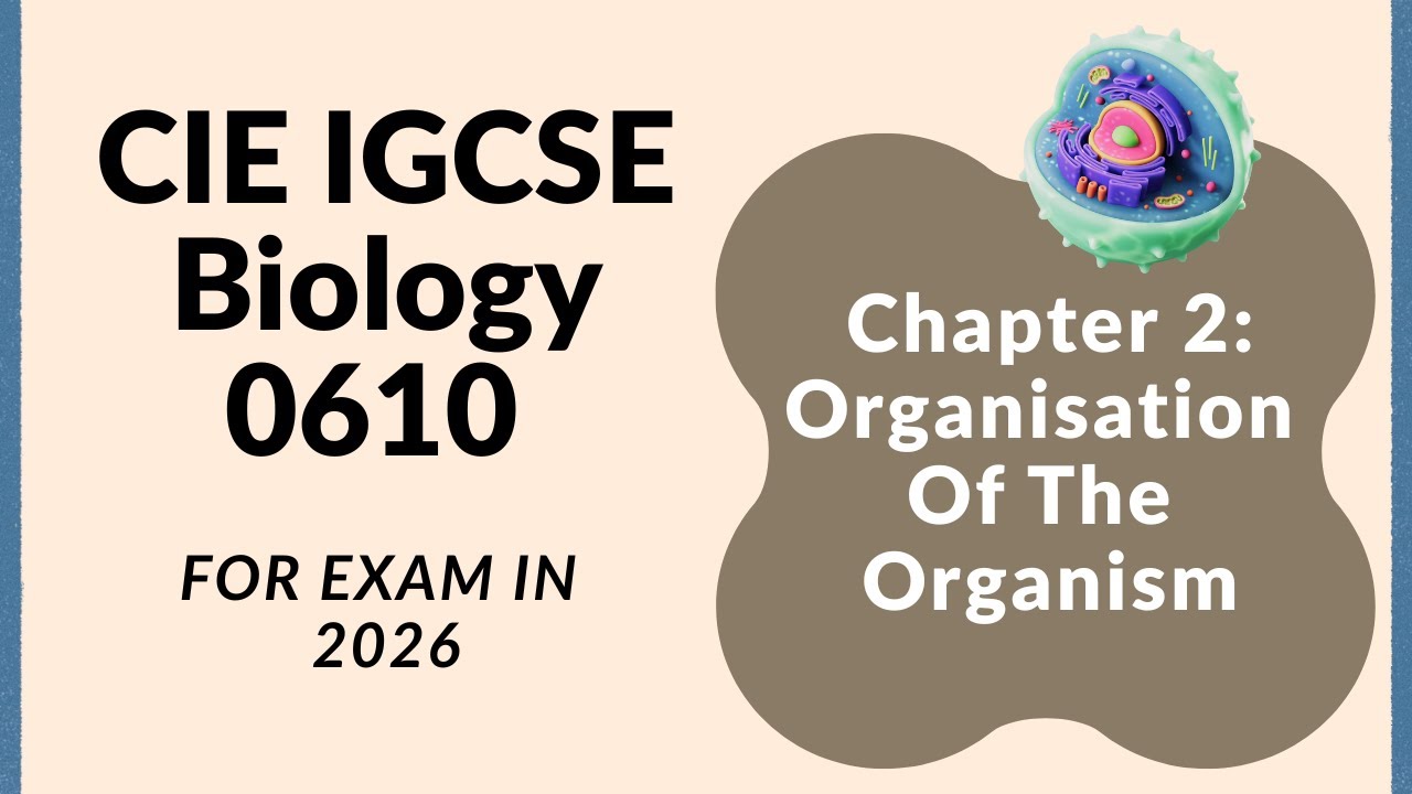 Organisation of the Organism - part 1 (Cambridge IGCSE Biology 0610 for 2026)