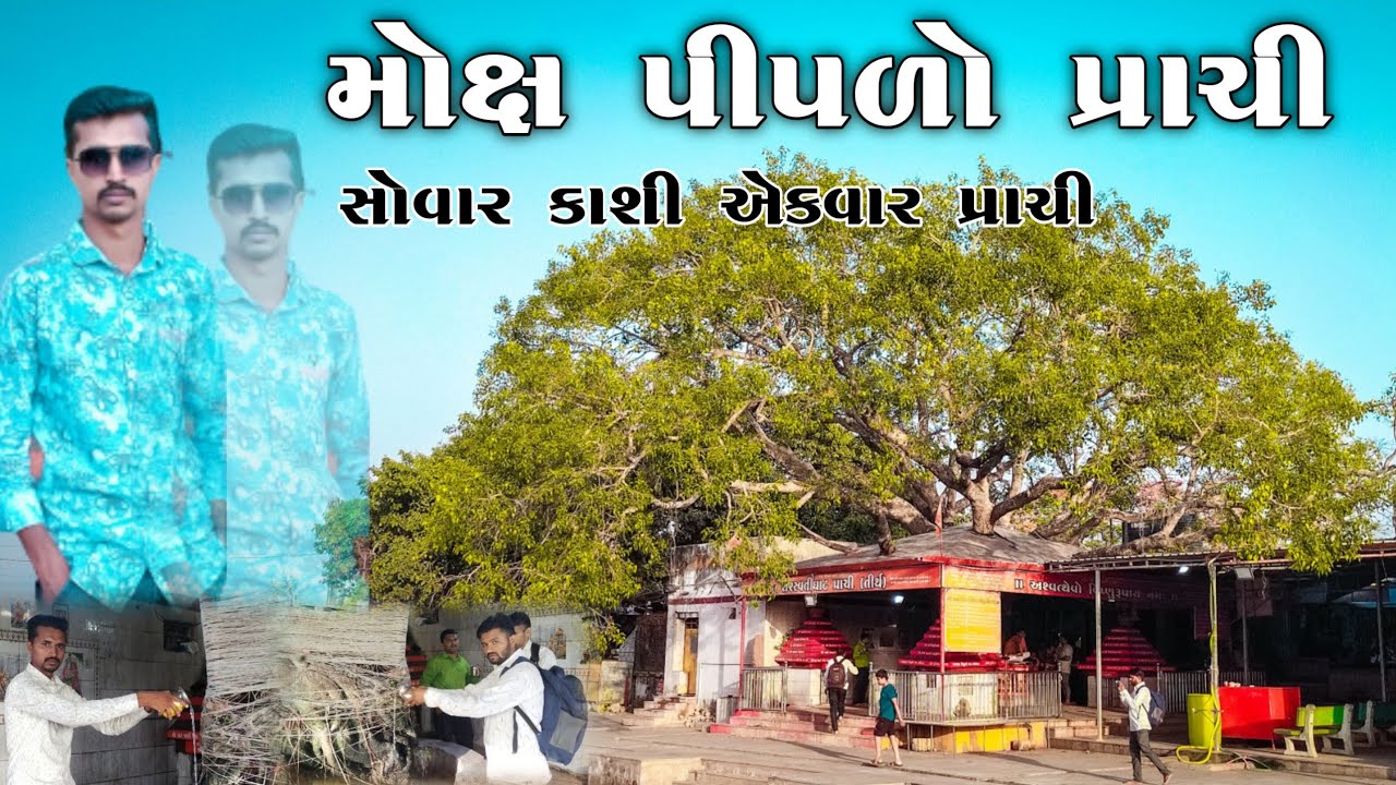 Prachi Moksh Piplo | મોક્ષ પીપળો પ્રાચી | Prachi Tirth 2023 | Prachi Piplo | Prachi Video