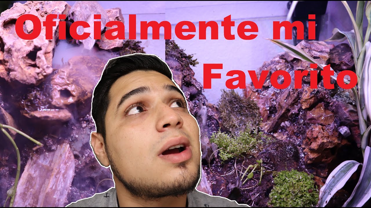 Cascada para Paludario/acuaterranio o no se que sea pero esta chido