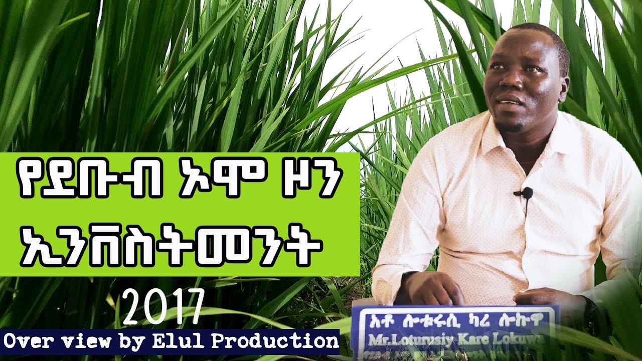 South Omo Zone Investment and Industry 2017/2025