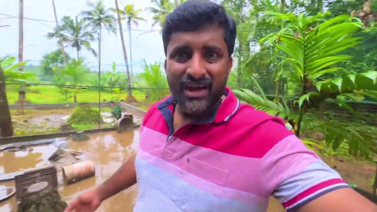 Daily Vlog #785 | Wide Vlogs
