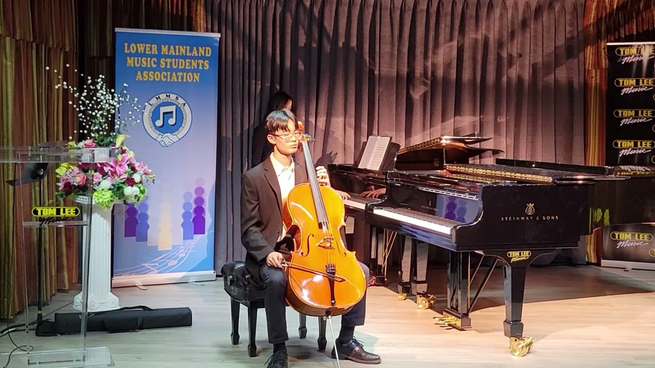 Performance for LMMSA
