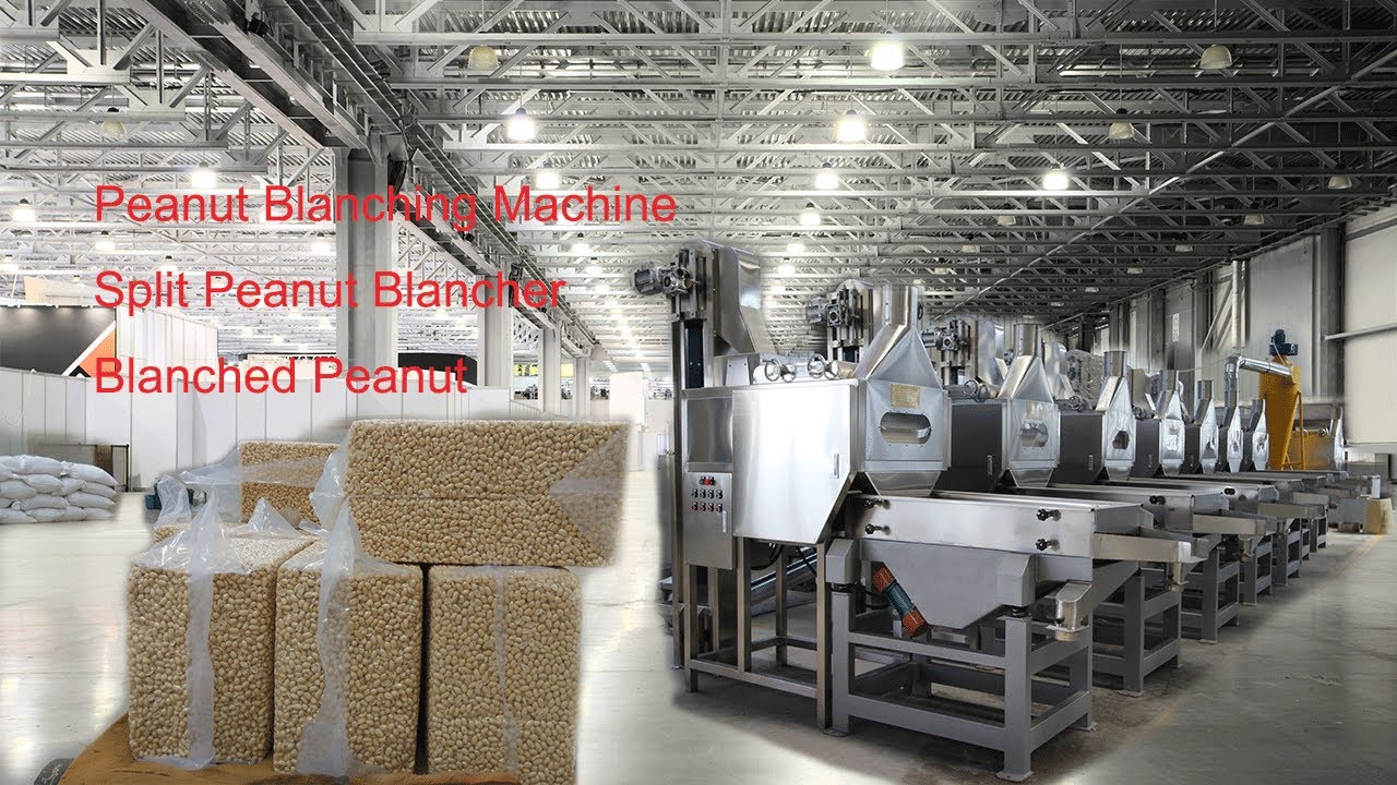 Peanut Blanching Machine- Split Peanut Blancher - Peanut Peeling Machine