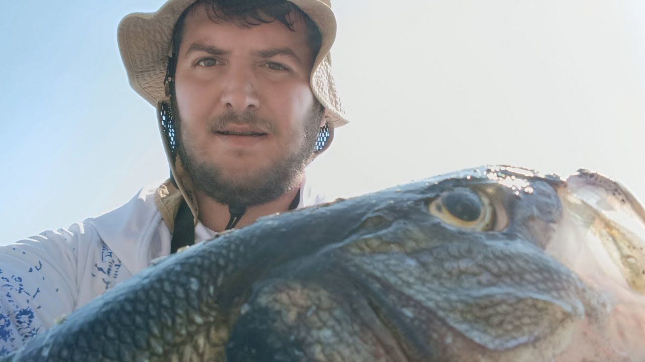 Marmara Levrek Avı [Jackall Riser Bait] #ürüninceleme Wtd'yi Kendi Yapıyor Senin Yapmana Gerek Yok! 