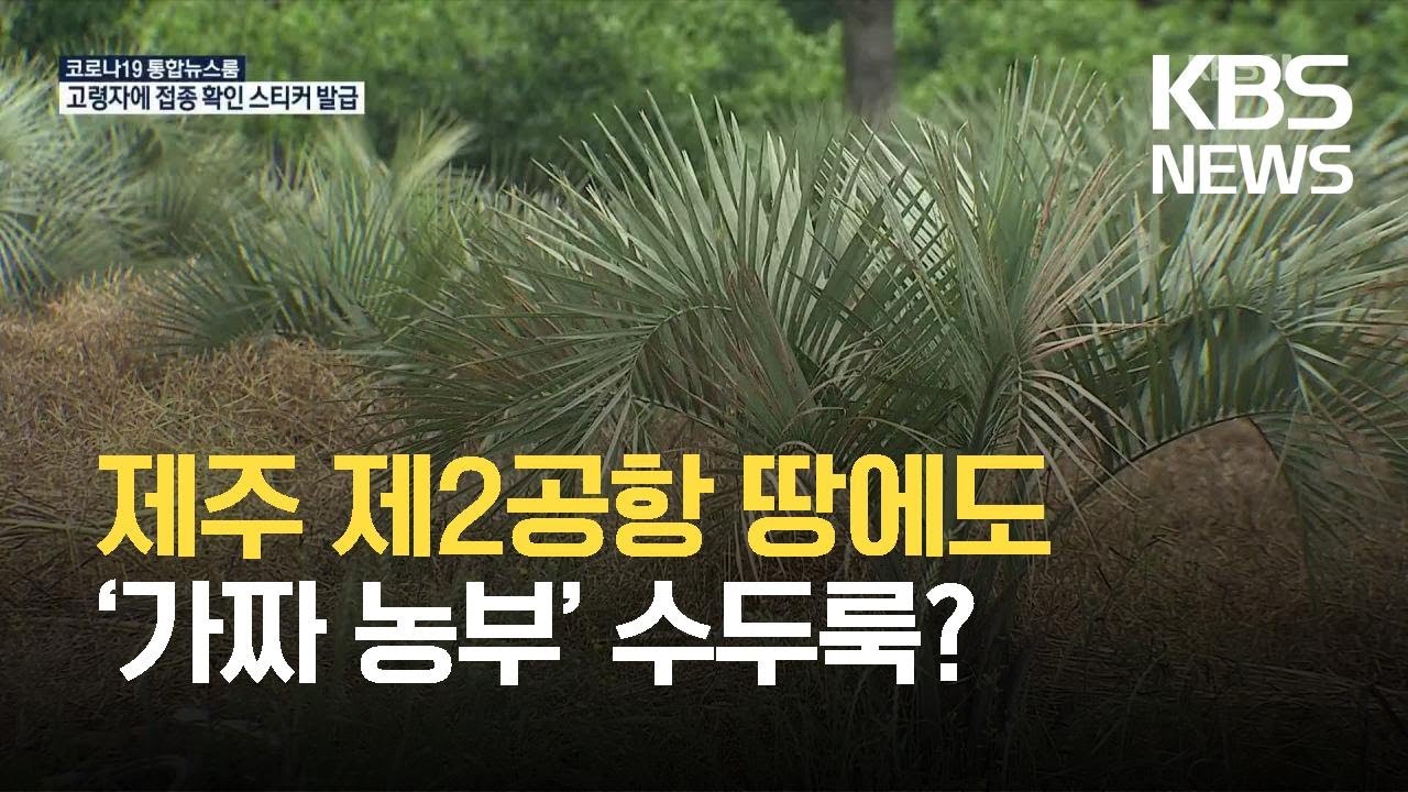 제주 제2공항 부지에도 ‘가짜 농부’ 수두룩? / KBS 2021.06.07.