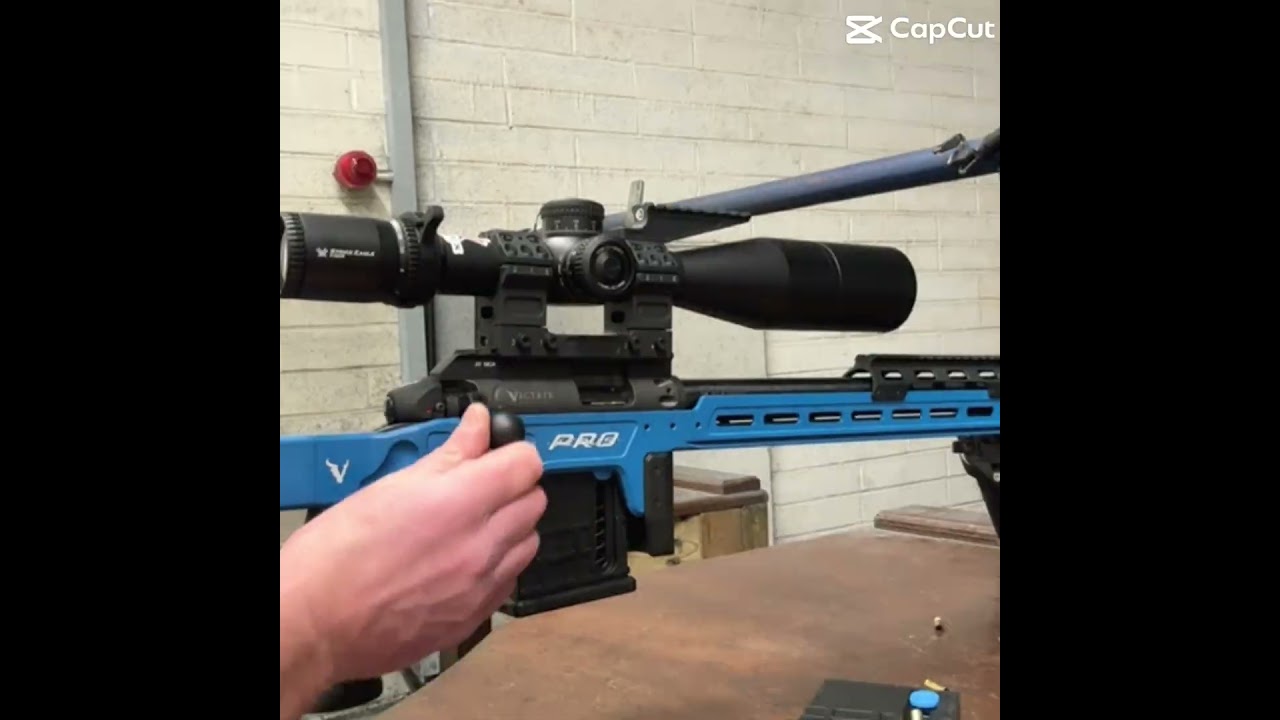 Victrix Venus Pro Rimfire Rifle: A Marksman's Dream Come True