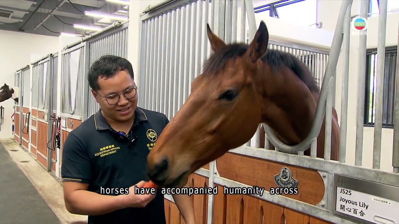 Horses in Chinese history | TVB News | 2026/02/17
