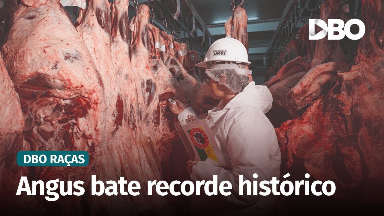 Exportação de carne Angus certificada cresce 260% em 2025