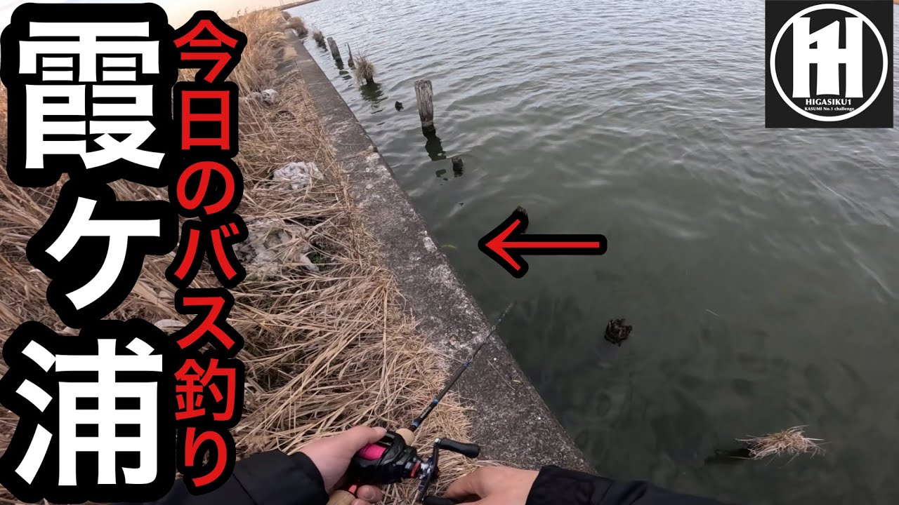 バス釣り霞ヶ浦！ビッグベイトで冬の定番ポイントへ‥2026年1月18日