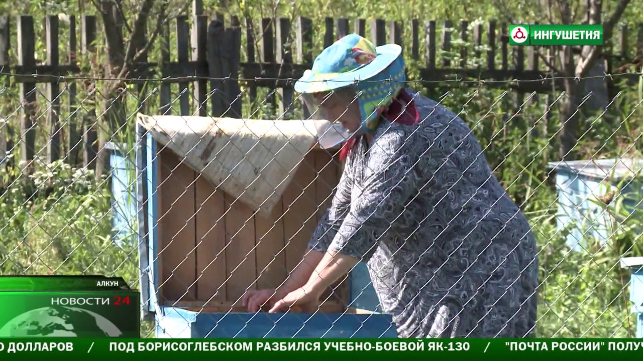 Алкун  - экологически чистое село .