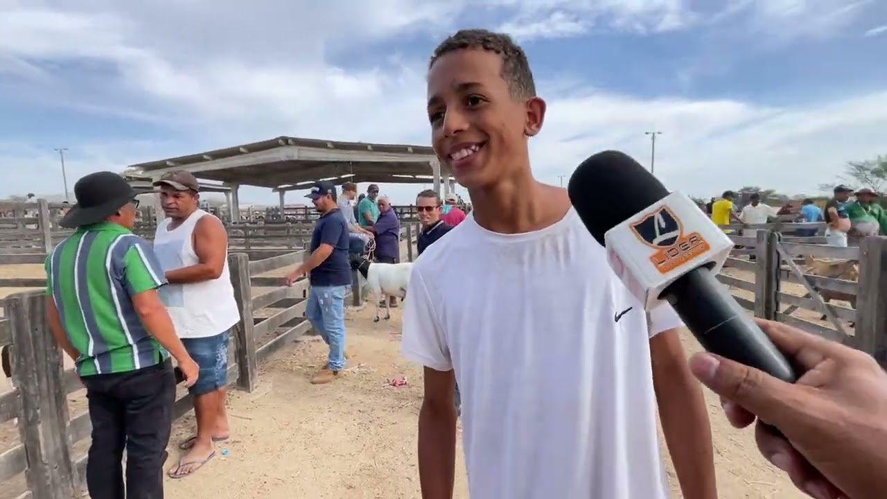 Feira de Ovelhas e Suínos em Dois Riachos 28 de janeiro de 2026 #nordeste