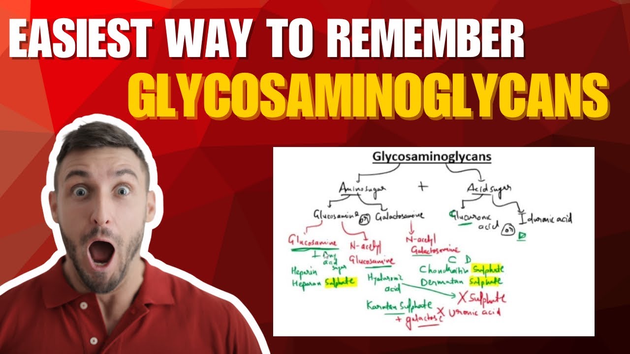 Glycosaminoglycans biochemistry | Easiest way to remember GAG | #Biochemistry