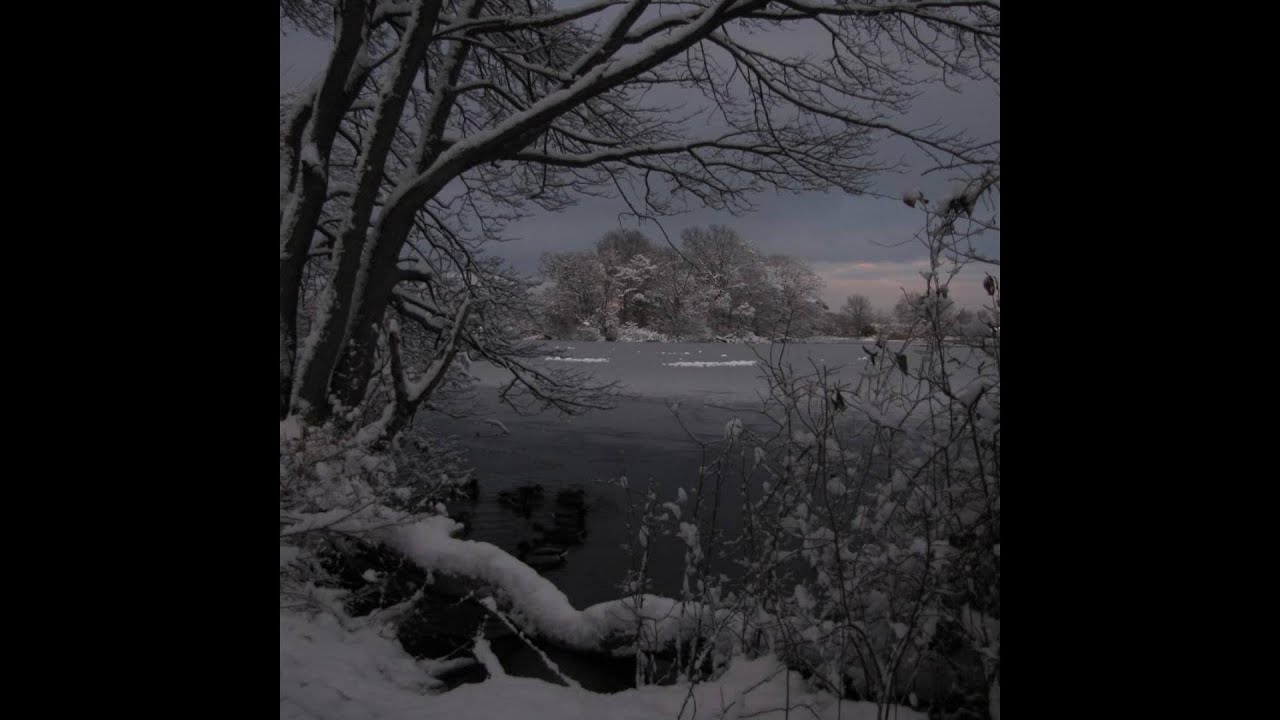 cloud rap + shoegaze + sample type beat