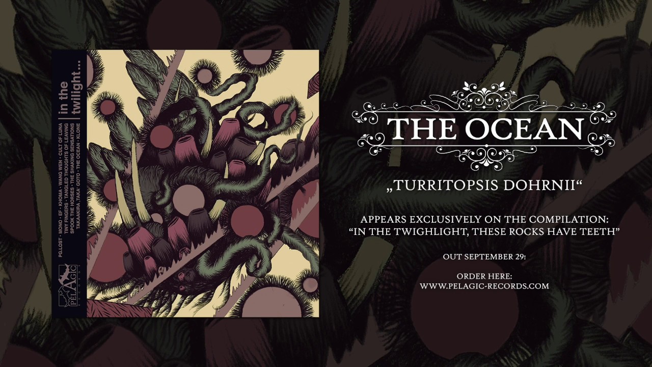 THE OCEAN - Turritopsis Dohrnii