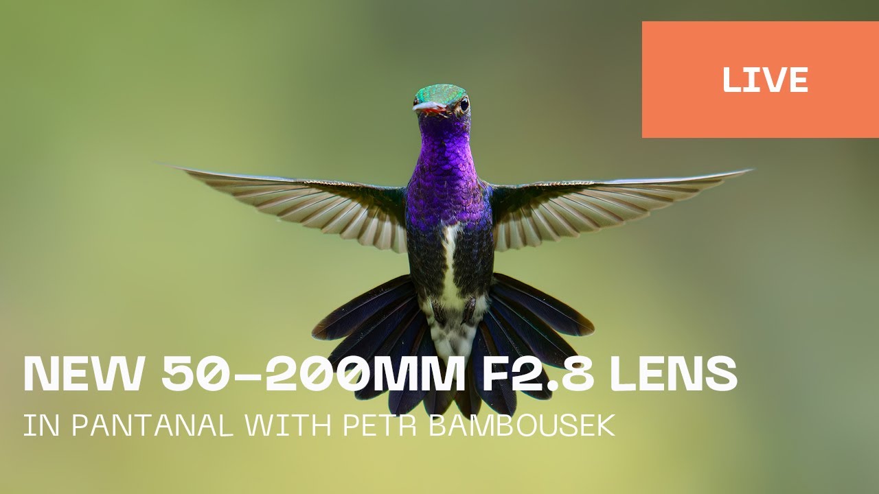 New 50-200mm lens in Pantanal with Petr Bambousek