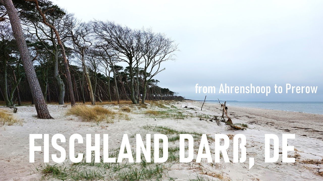 Fischland Darß / Hiking - from Ahrenshoop to Prerow / Weststrand / Lighthouse / Moor /Cafe Teeschale