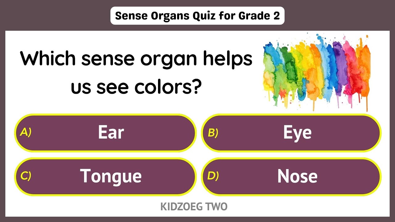 Sense Organs Quiz for Grade 2 Kids | 15 Questions on Eyes, Ears, Nose, Tongue & Skin | Science Quiz