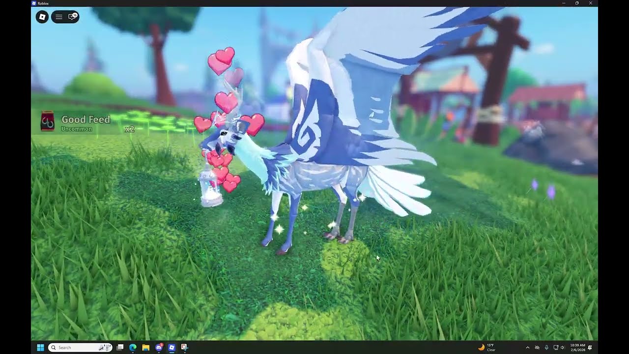 horse world