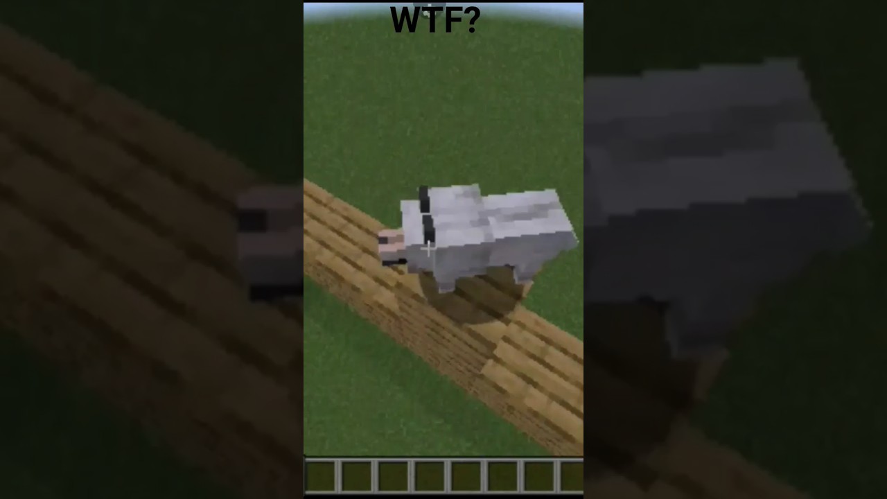 Kurt hangi iskeleti yicek? izle ve g&ouml;r. #minecraft #iskelet #kurt