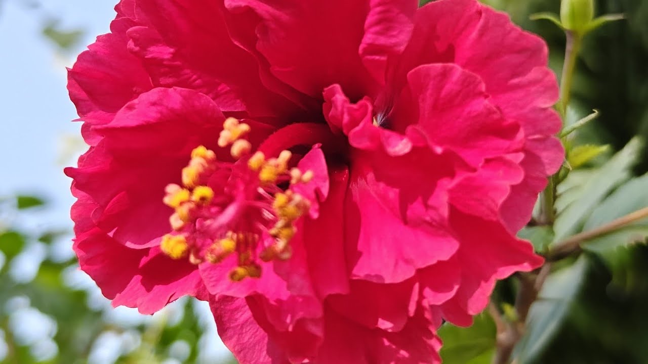 চলে এসো বন্ধুরা রাতের আড্ডায়