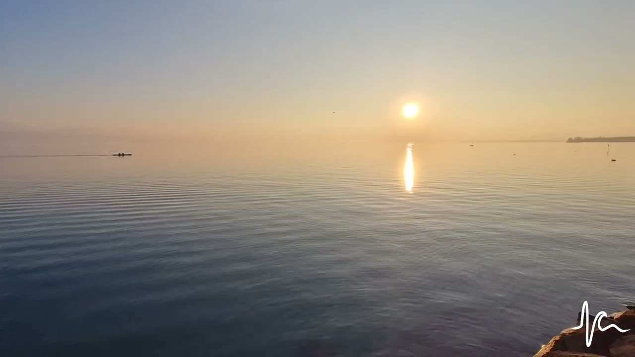 Introspection (Original Mix)