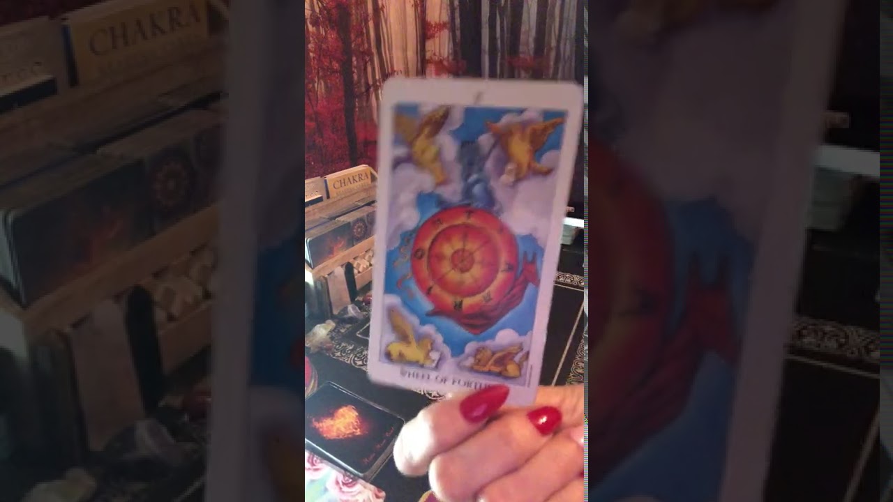 Aquarius: Change is here. You are wearing the 👑 now. It’s time to surrender to your full power.