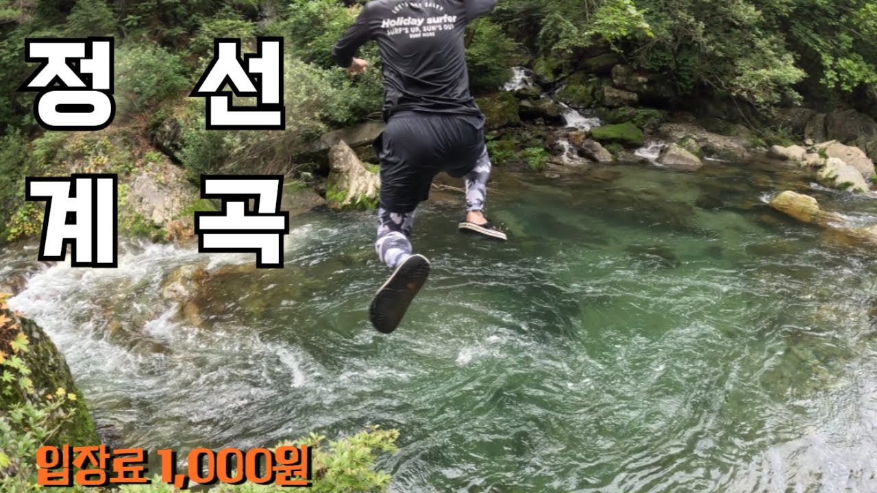 왜? 전국 1등 휴양림 계곡인가 | 꽤나 위험한 계곡 물놀이 | 가성비 계곡 | 정선계곡