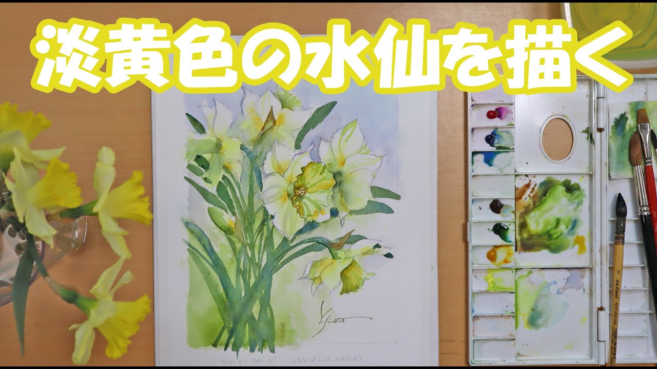 【透明水彩画】淡黄色の水仙を描く
