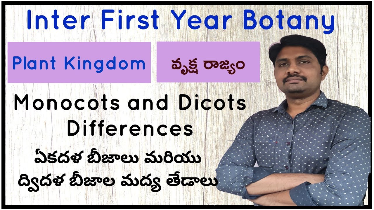 Monocots and Dicots Differences | ఏకదళ బీజాలు మరియు ద్విదళ బీజాల మద్య తేడాలు