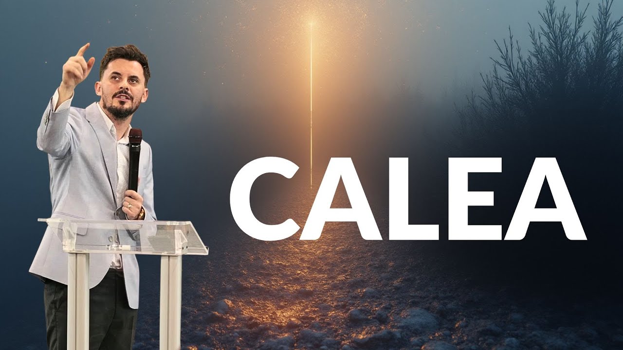 Calea - Sebastian Csadi