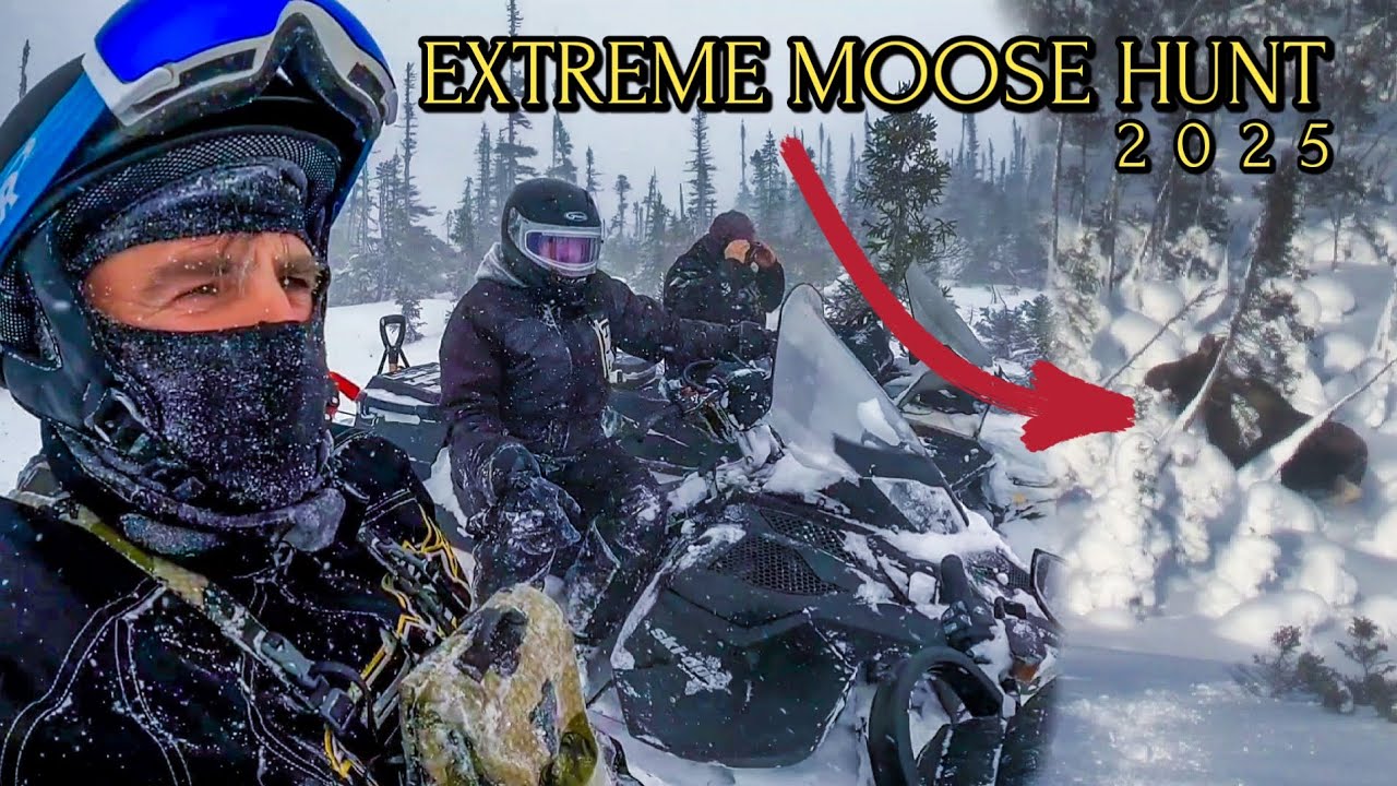 Moose Hunting in EXTREME Winter Conditions! 6 Day REMOTE Cabin Trip